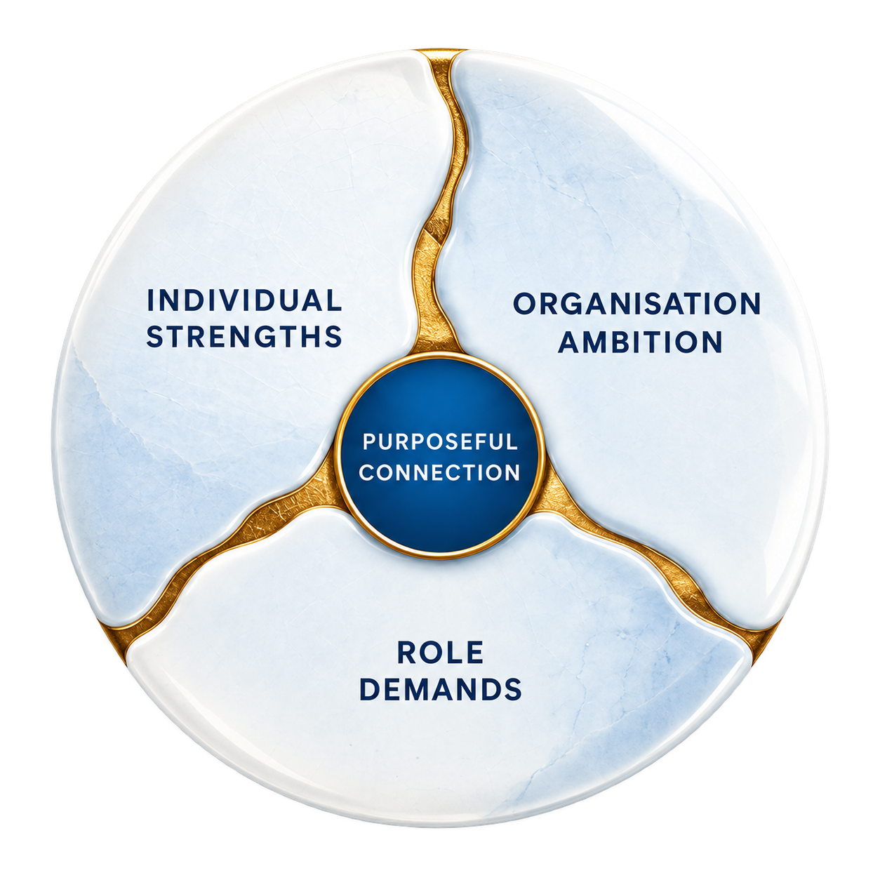Individual strengths, organisation ambition and role demands connected through purposeful connection